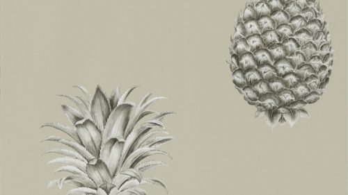 Pineapple Royale 216323